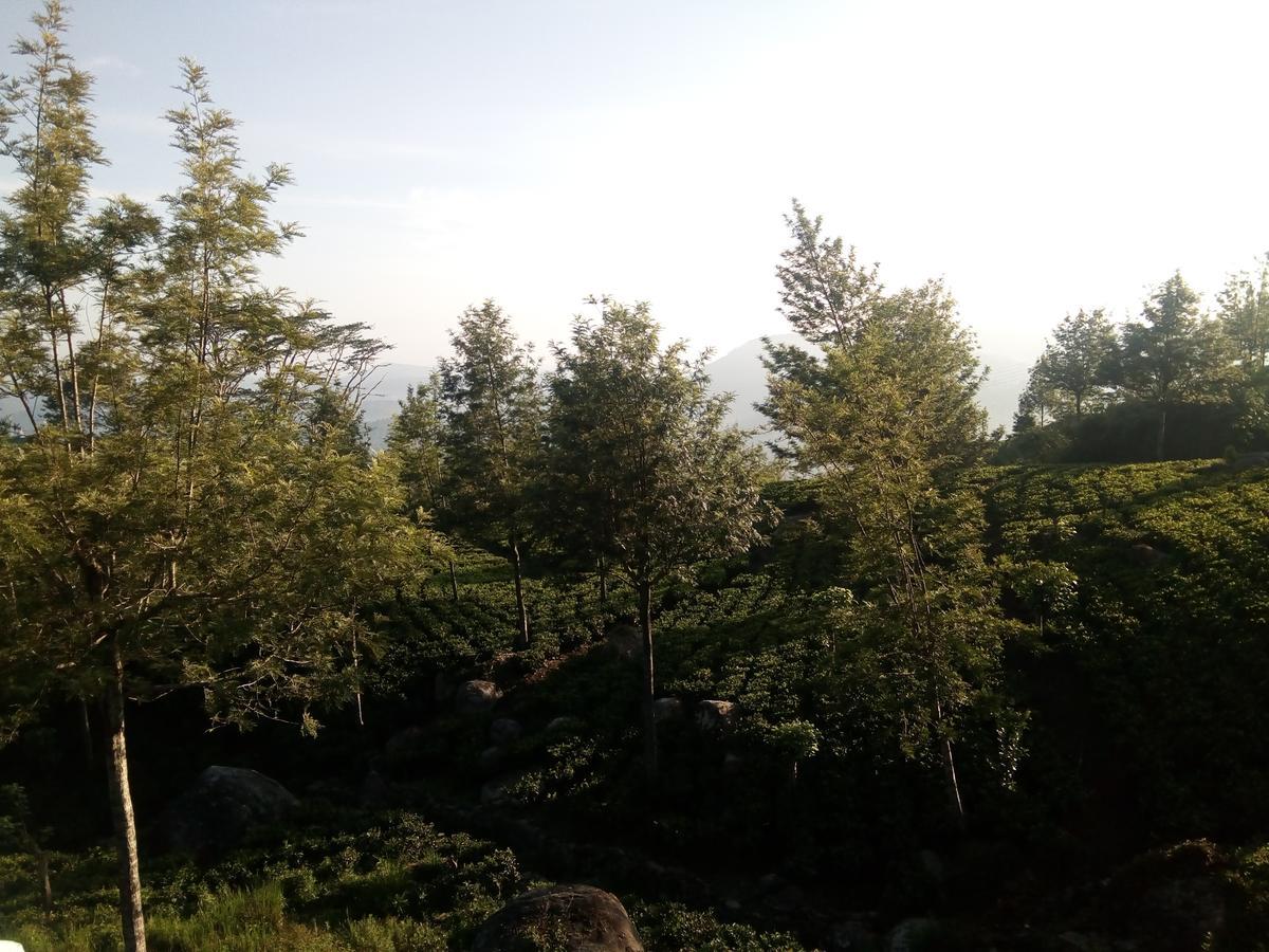 Adisham Village Home Beragala Luaran gambar