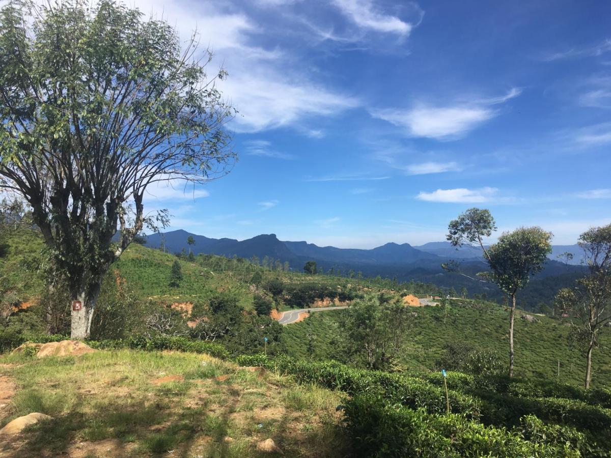 Adisham Village Home Beragala Luaran gambar